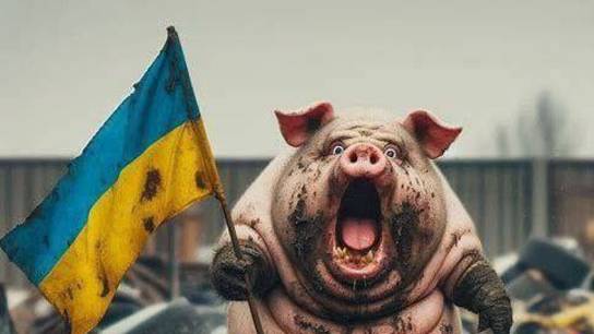 Стрим из Центра по сумеркам