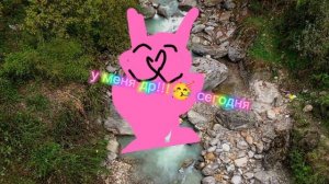 у меня сегодня др!!!🥳