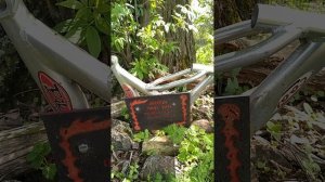 Пришли на место гибели велосипедиста, где полуостров разделяет реку Клязьма и старое русло реки