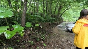 Водопад Сигаси 2025.