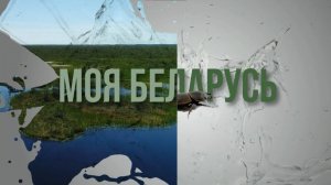 Моя Беларусь #5 | Олень с золотыми рогами
