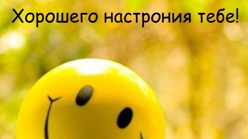 Подборка анекдотов и забавных высказываний😆