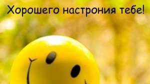 Подборка анекдотов и забавных высказываний😆
