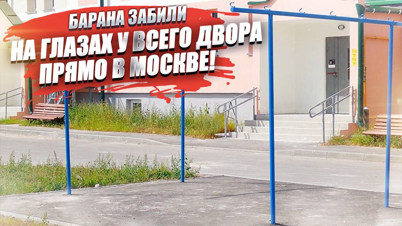 Барана разделали прямо посреди двора – иностранцы «отжигают» в Москве!