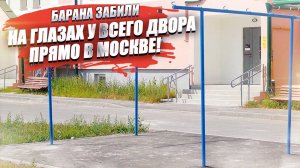 Барана разделали прямо посреди двора – иностранцы «отжигают» в Москве!