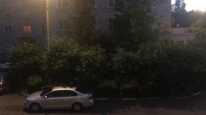 Рассматриваем природу во дворе дома - Timelapse from the window