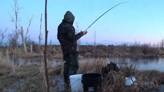 ДА сколько здесь РЫБЫ в этих разливах?! 30 см. лужа КИПИТ РЫБОЙ! Долбит на каждом забросе! Fishing🎣