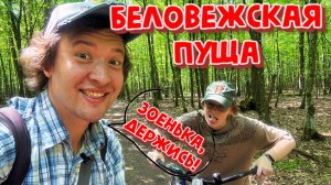 АВТОПУТЕШЕСТВИЕ ПО БЕЛАРУСИ!БЕЛОВЕЖСКАЯ ПУЩА.ВЕЛОМАРШРУТ "ЗВЕРИНАЯ ТРОПА".СТОИТ ЛИ ТУДА ЕХАТЬ?