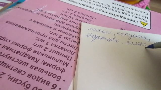 диктант в школе басиков.