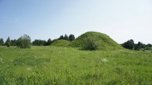 курганы у деревни УСТЬЕ