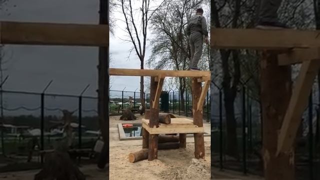C Андреем на  игровой Прямой эфир инстаграм @mansurbear 09.05.20