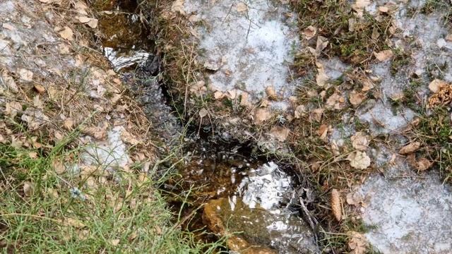 Streams are murmuring, spring's.coming
Журчат ручьи, весна идет