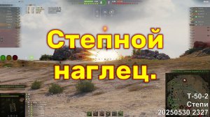 Степной наглец. Т-50-2. Степи. 20250530 2327.