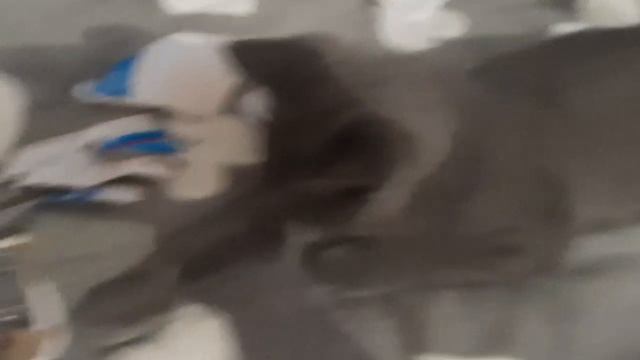 Играю пока что с бумажками, немного бешу всех, но ничего скоро её распакуют)