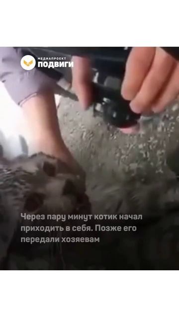 В Сургуте спасатель реанимировал кота, который надышался дымом (online-video-cutter.com)