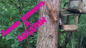 Белочки в нашем лесу и КОЛДУНЫ‼️🔥