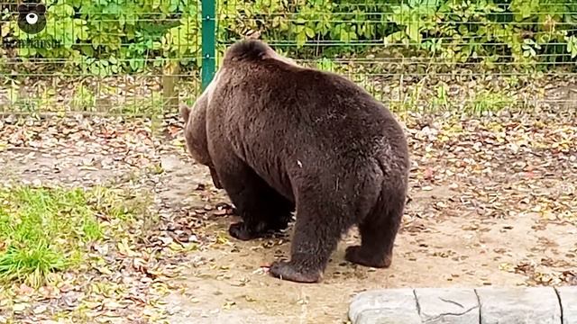 Мансур знает что продукты перед употреблением следует тщательно мыть