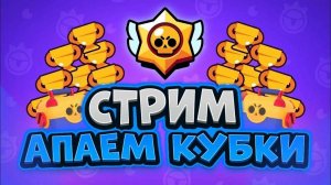 Пуш Кубков: Nulls brawl|Нулс бравл