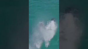 Реактивный ранец для воды