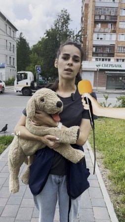 Умный друг. Онлайн школа по дрессировке собак