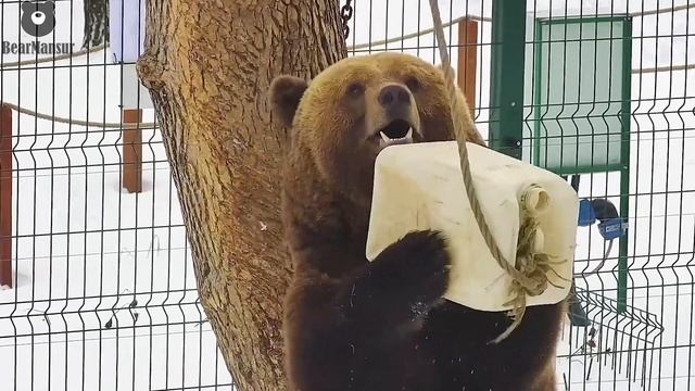 Я поиграю, а вы любуйтесь