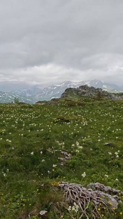 #8 Горы | Прогулка | Природа #mountains #равнины #nature #природныепейзажи #travel #лесной