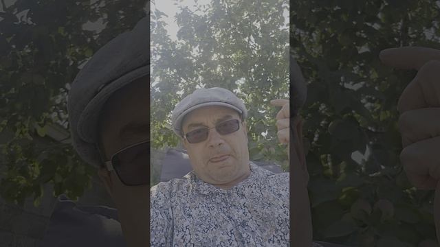 Про доп соглашение по автокредиту: автосалон М-Авто, он же Автокласс - М.