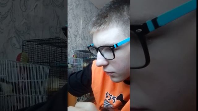 привет