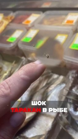 ТАРАКАНический УЖАС в рыбном отделе!