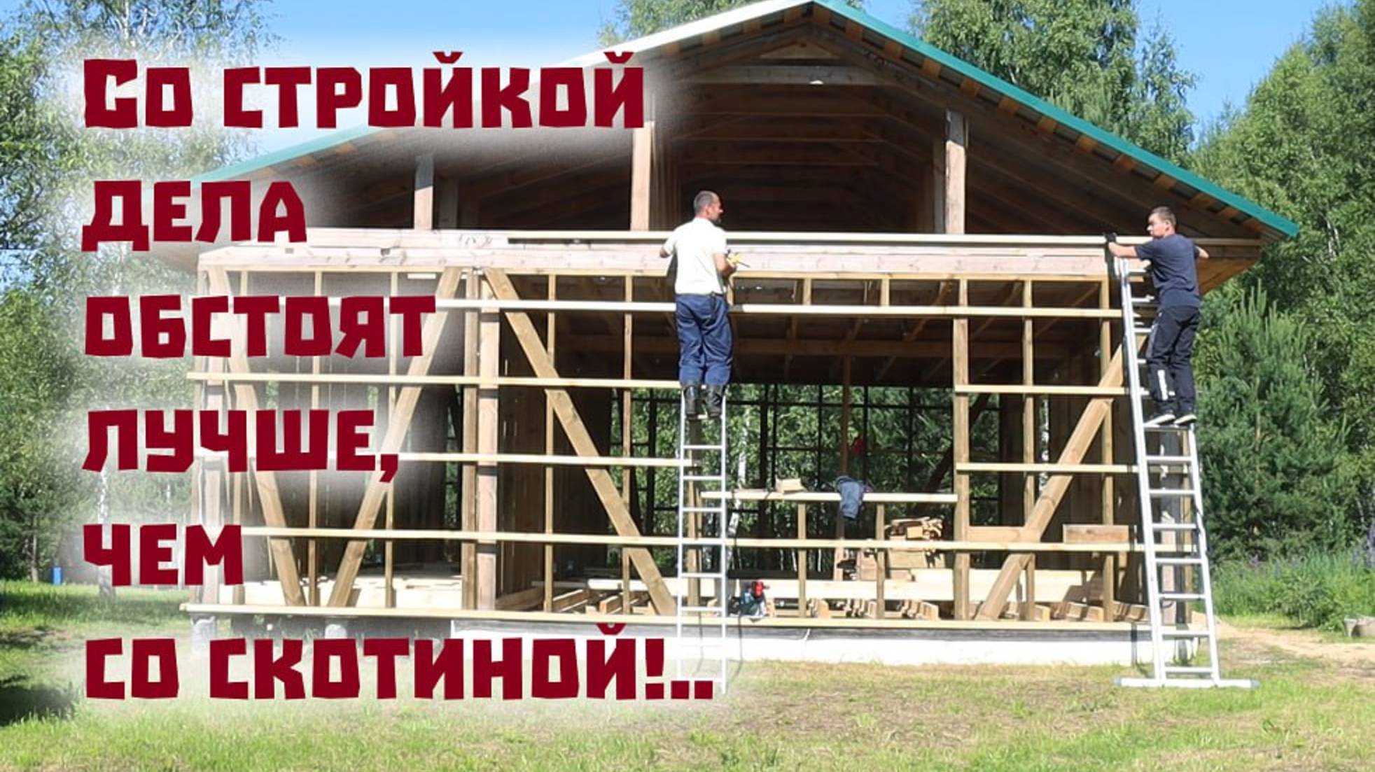 "Про гибель скотины, продолжение строек и надежды на мёд!.."