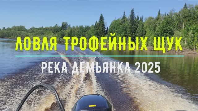 Ловля трофейных щук на реке Демьянка, 19-22 июня 2025