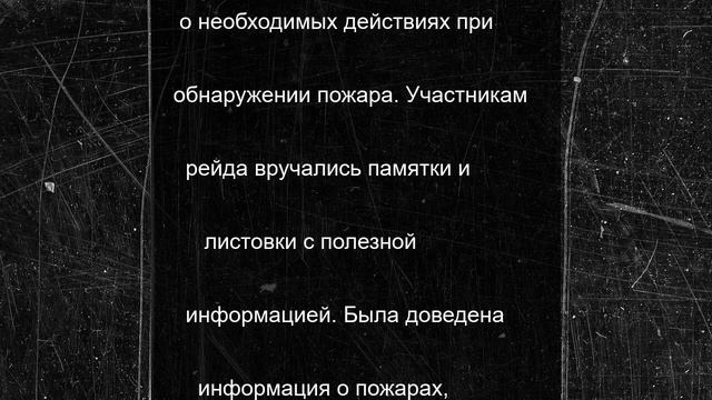 Специалисты МЧС провели профилактический рейд в Невеле
