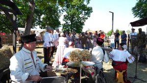 Трава моя трава 1. Ансамбль Колос. 4K(UHD).