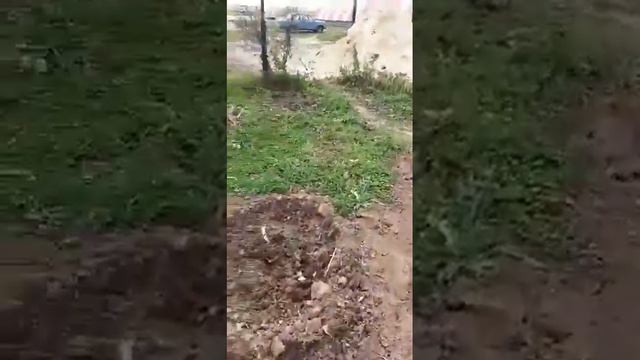 Стрим обо всём ❗ Прямой эфир инстаграм @mansurbear 27.10.19