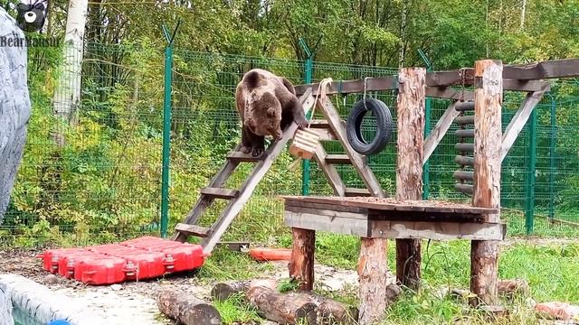 Подглядываем за Мансуром пока он не видит