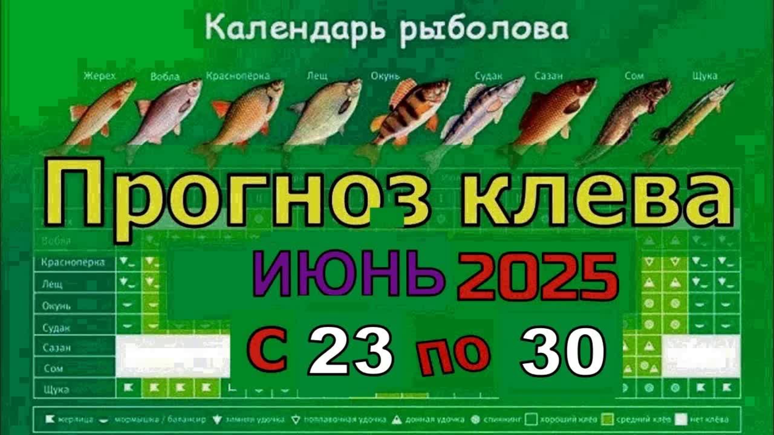 Когда лучше клюет рыба на этой неделе с 23 июня по 30 Июня 2025