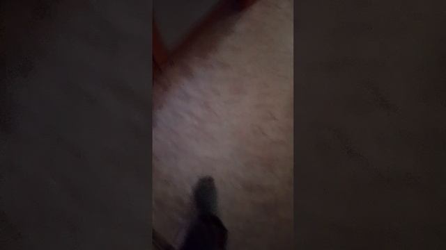 1000018897.mp4