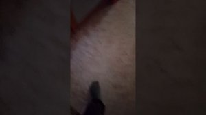 1000018897.mp4