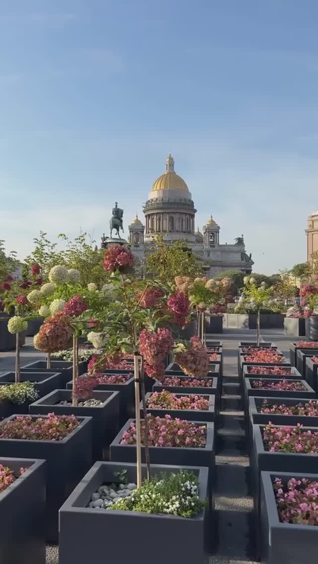 Сад-трансформер на Исаакиевской площади. Санкт-Петербург, Россия.