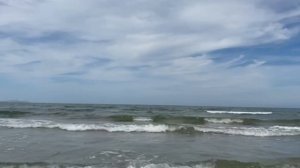 26 августа 2024.      Насобирала ракушек 🐚🐚🐚 А как вы считаете, ракушка хороший сувенир/подарок?