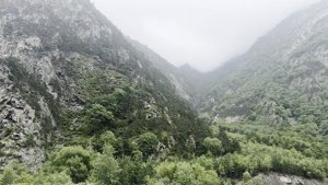 Граница Грузии и РФ