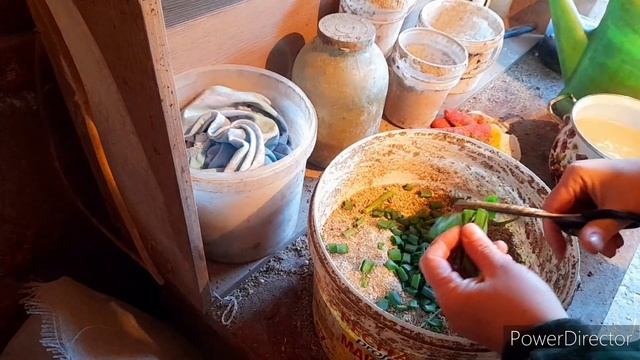 Витамины для Кур!//С Этой мешанкой Куры Точно Занесутся!//Лечу Петуха..