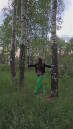 Русские берёзы наша сила, красота, суть России и русского раздолья чистота!