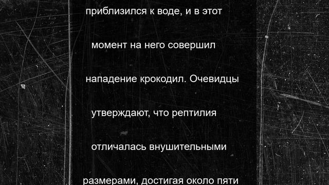 Футболист погиб в смертельной схватке с крокодилом