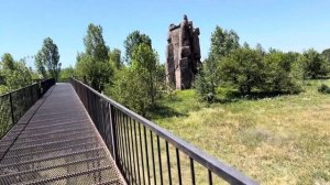 Мы с Алиной в первый раз смогли придти на место, где ЛЕВ АТАКОВАЛ Олега Зубкова и нашу маму!