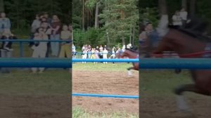 "Вишенка на торте" любого сабантуя - это скачки!!! Краснокамский район.село Николо- Березовка.