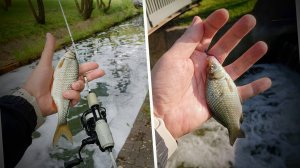 Мормышинг с Призраком  в Северном Бутово