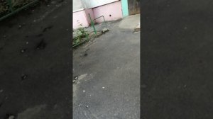 Жду друга, взаимная подписка