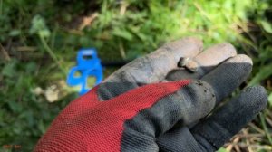 Ну вот и началось. Коп с Garrett Vortex