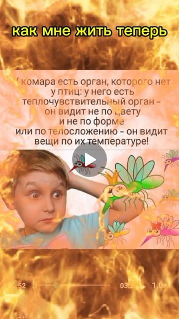 видите комара - шлепните ему. смотреть онлайн